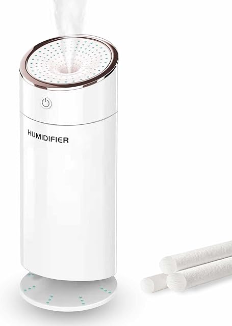Cool Mist Humidifier (USB)