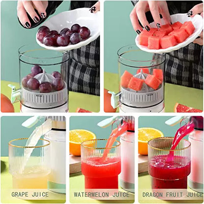 Electric citrus juicer with fruits collage in Pakistan